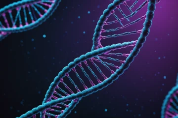 Comment fonctionne l'ADN